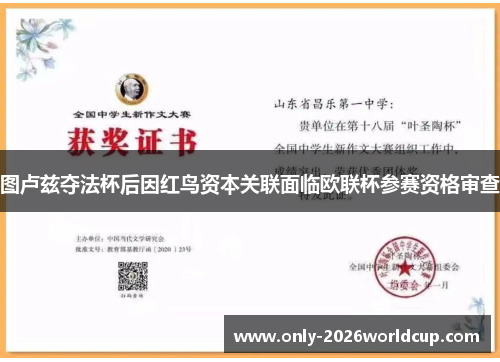 图卢兹夺法杯后因红鸟资本关联面临欧联杯参赛资格审查 图卢兹夺法杯后因红鸟资本关联面临欧联杯参赛资格审查